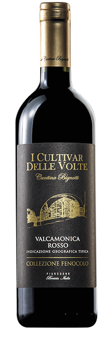 VALCAMONICA Collezione Fenocolo