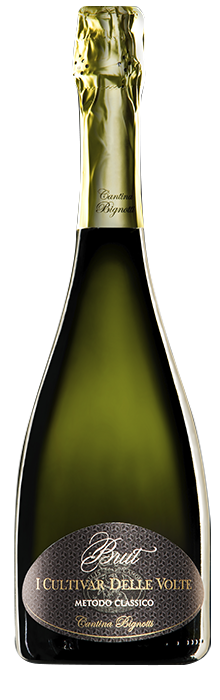 BRUT GIOIA